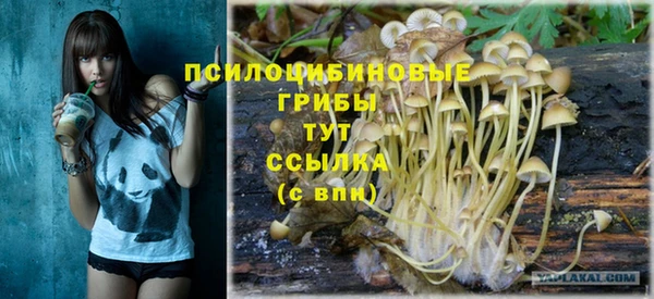 меф Новозыбков