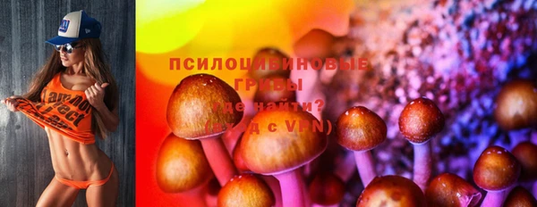 мескалин Новодвинск