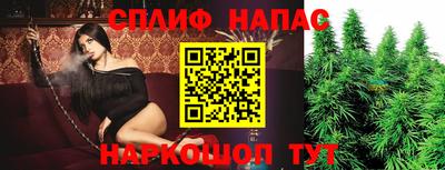 скорость Будённовск