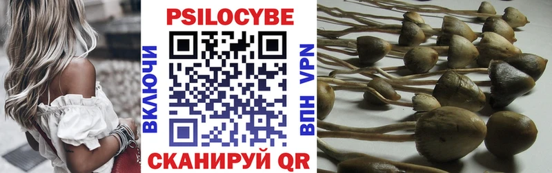 купить  цена  Кимры  Галлюциногенные грибы MAGIC MUSHROOMS 