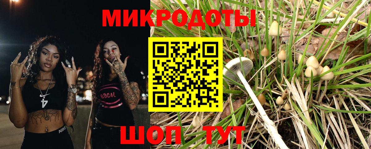 Галлюциногенные грибы прущие грибы  купить наркоту  Кимры  Вход с VPN  Псилоцибиновые грибы GOLDEN TEACHER 