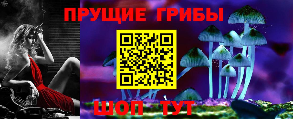 Псилоцибиновые грибы прущие грибы  Кимры 