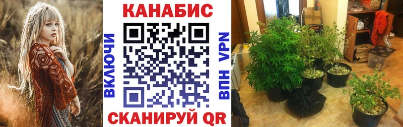 Канабис MAZAR  наркота  Кимры 