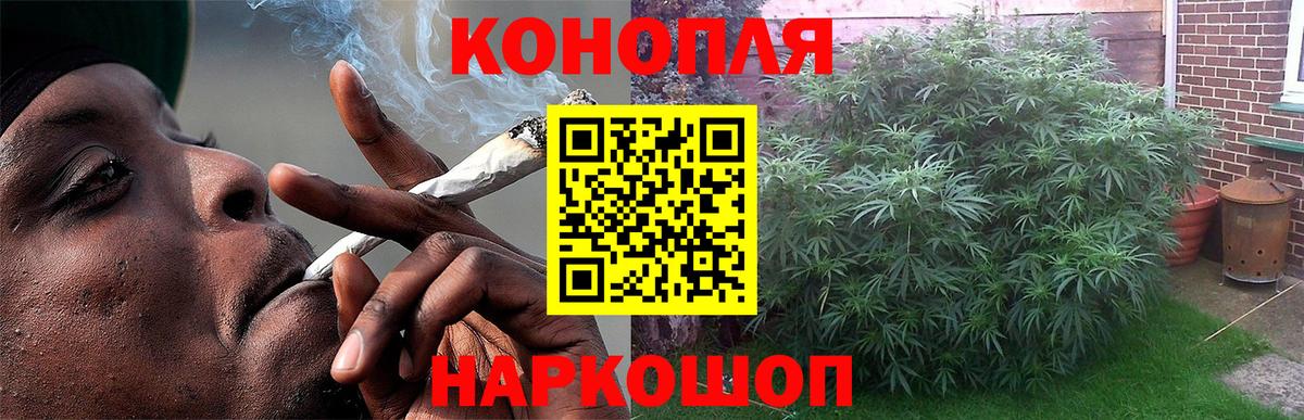 Бошки марихуана семена  Бошки марихуана план  Кимры 